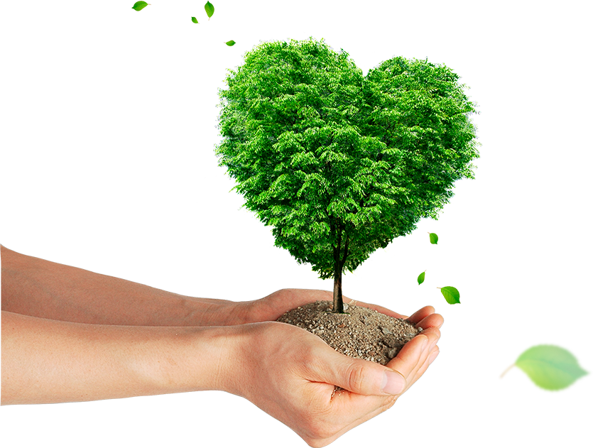 Revive Pot is a concrete planter integrated with smart technology to optimize plant life. Comprised of an innovative three-layer concrete panel, Revive Pot uniquely combines smart biodegradable technology with contemporary design elements to enhance both plant life and urban design